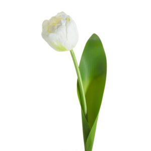 ArtFir Umělý tulipán NATU 475 | bílá 37 cm