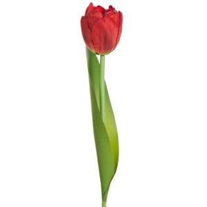 ArtFir Umělý tulipán NATU 475 | červená 37 cm